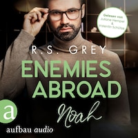 Enemies abroad - Handsome Heroes, Band 6 (Ungekürzt)
