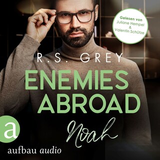 Enemies abroad - Handsome Heroes, Band 6 (Ungekürzt) als Hörbuch