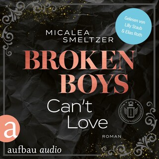 Broken Boys Can't Love - College Sports Romance - The Aldridge Boys, Band 5 (Ungekürzt) als Hörbuch