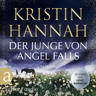Der Junge von Angel Falls als Hörbuch