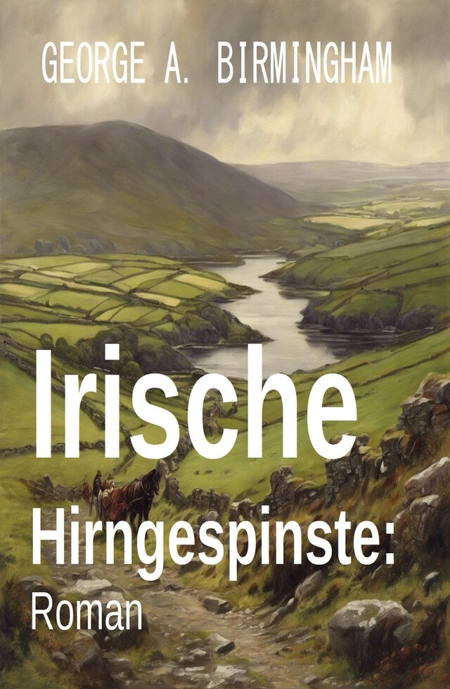 Portada de libro para Irische Hirngespinste: Roman