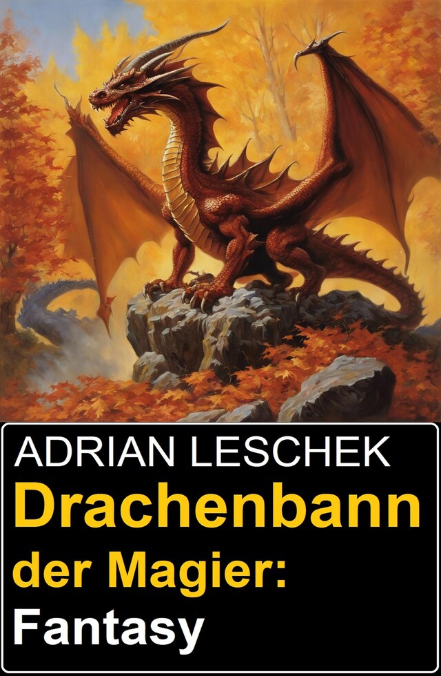 Book cover for Drachenbann der Magier: Fantasy