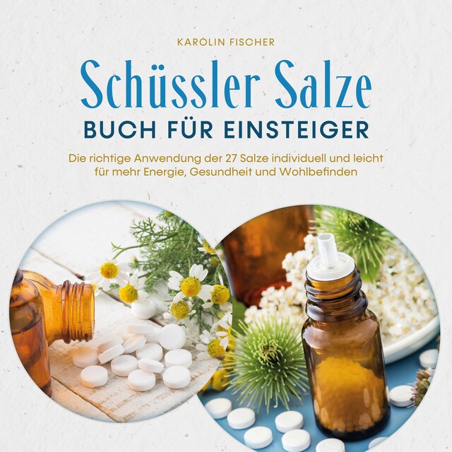 Kirjankansi teokselle Schüssler Salze Buch für Einsteiger: Die richtige Anwendung der 27 Salze individuell und leicht für mehr Energie, Gesundheit und Wohlbefinden - Schritt für Schritt von der Theorie bis zur Praxis