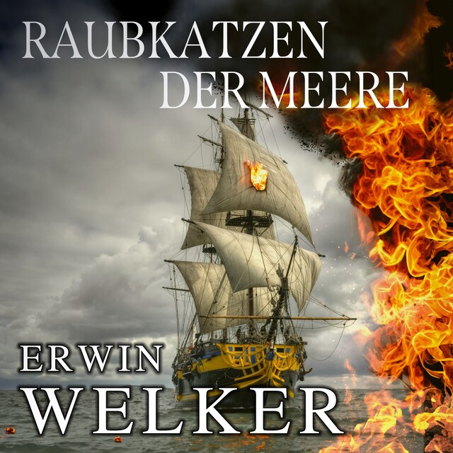 Boekomslag van Raubkatzen der Meere: Captain James Walker und seine Piraten / Historischer Roman über Seefahrer (Spannende Seefahrer-Romane)