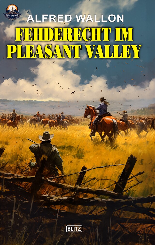 Copertina del libro per Fehderecht im Pleasant Valley