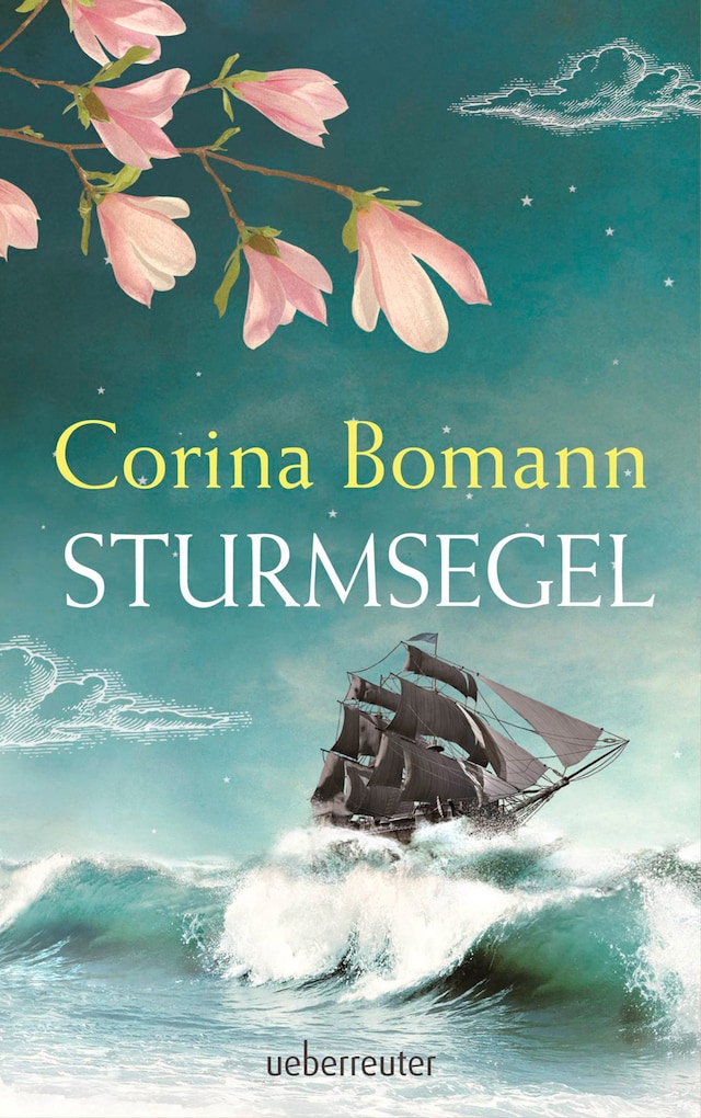 Book cover for Sturmsegel