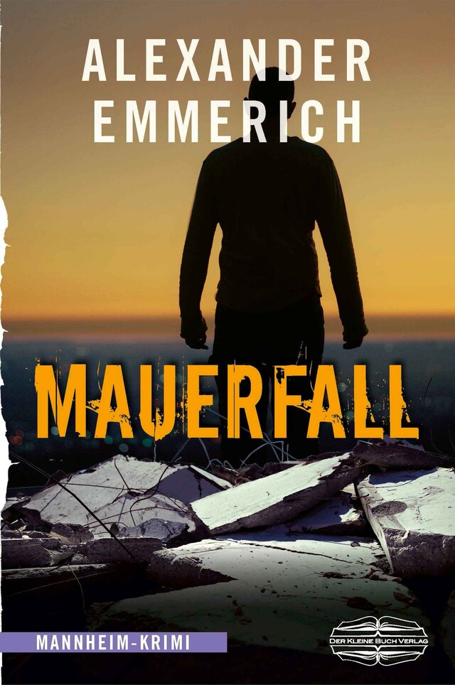 Copertina del libro per Mauerfall