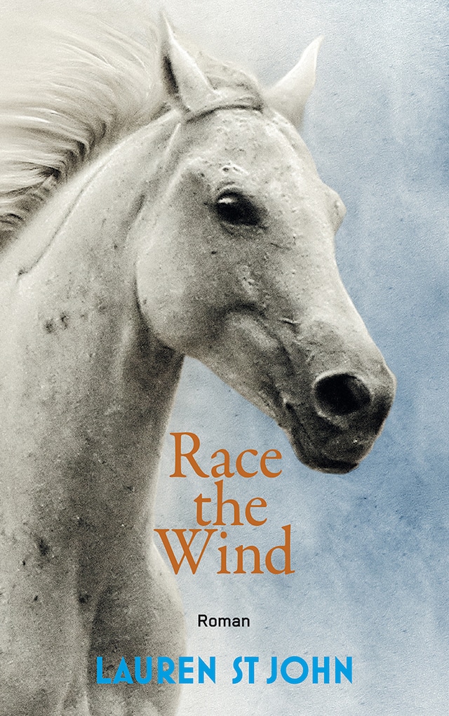 Book cover for Race the Wind