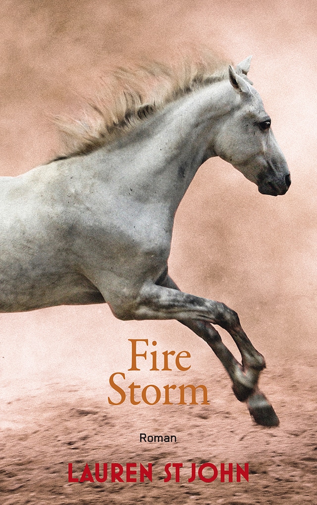 Buchcover für Fire Storm
