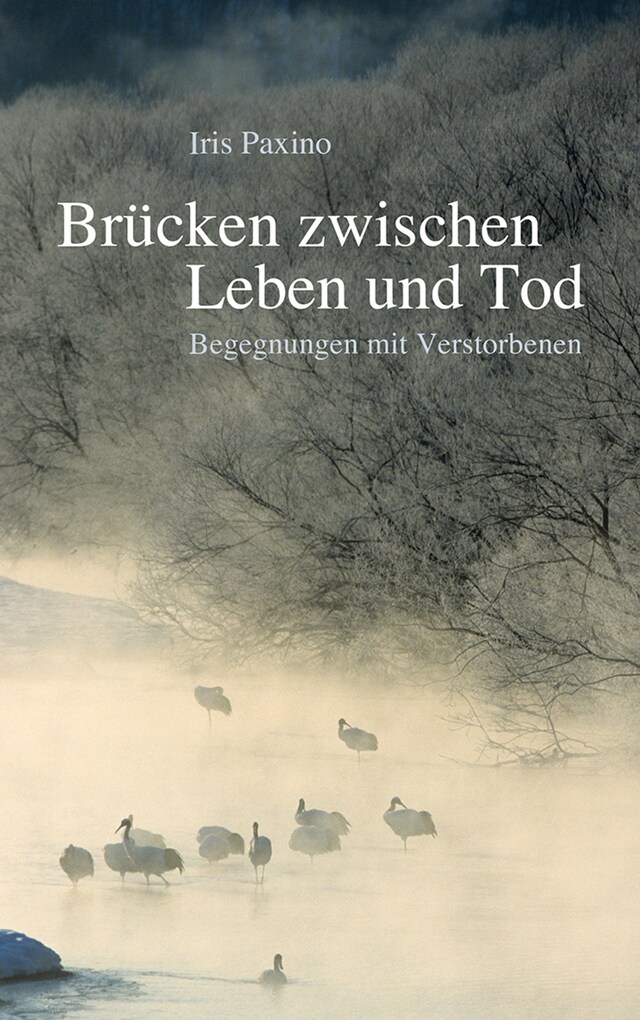 Kirjankansi teokselle Brücken zwischen Leben und Tod