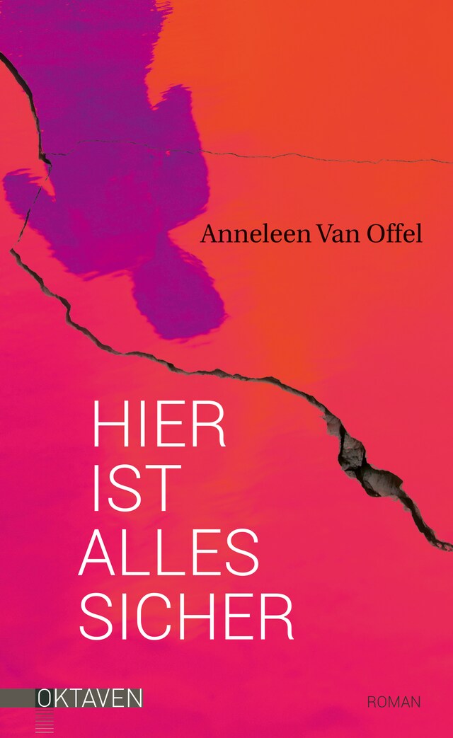 Book cover for Hier ist alles sicher