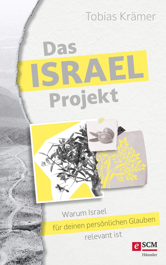 Copertina del libro per Das Israel-Projekt