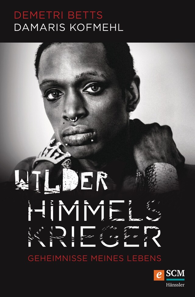 Buchcover für Wilder Himmelskrieger