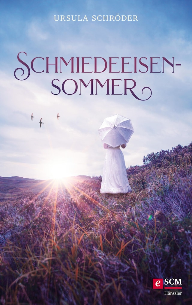 Book cover for Schmiedeeisensommer