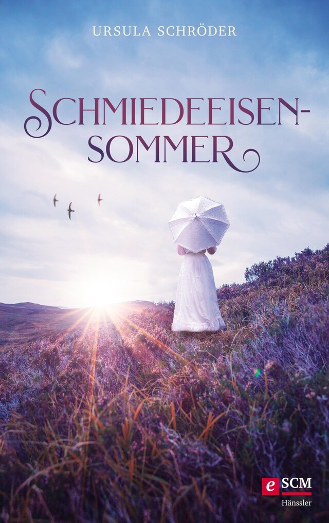 Book cover for Schmiedeeisensommer