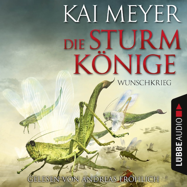 Book cover for Die Sturmkönige, 2: Wunschkrieg