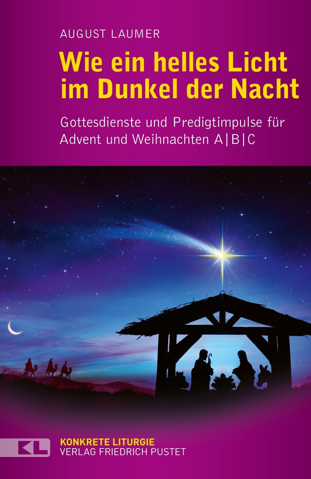 Portada de libro para Wie ein helles Licht im Dunkel der Nacht