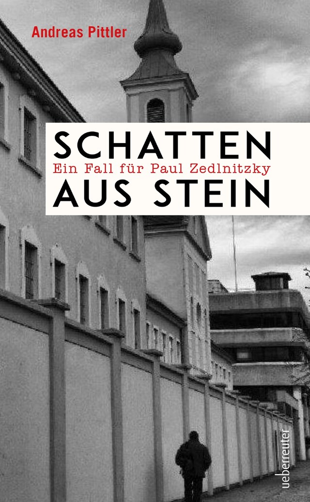 Book cover for Schatten aus Stein