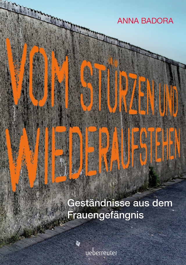 Book cover for Vom Stürzen und Wiederaufstehen