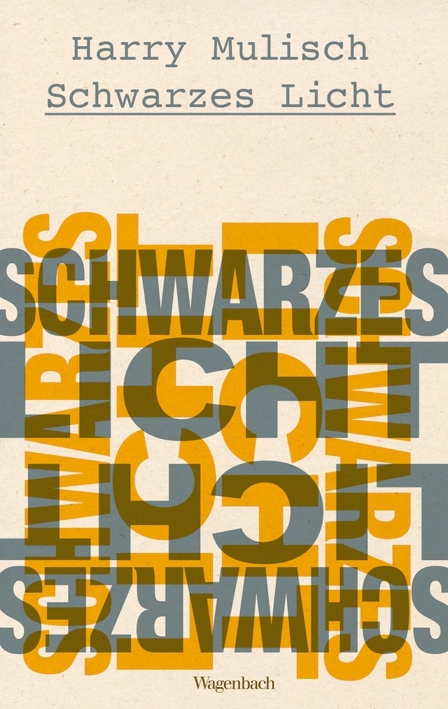 Bogomslag for Schwarzes Licht