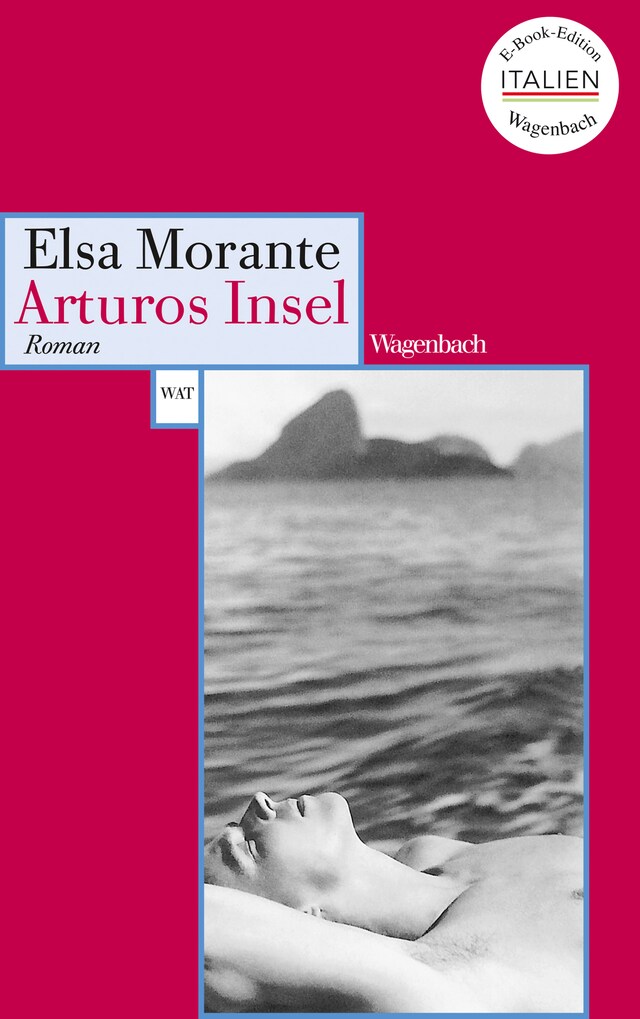 Book cover for Arturos Insel