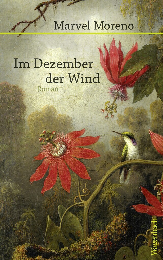 Book cover for Im Dezember der Wind