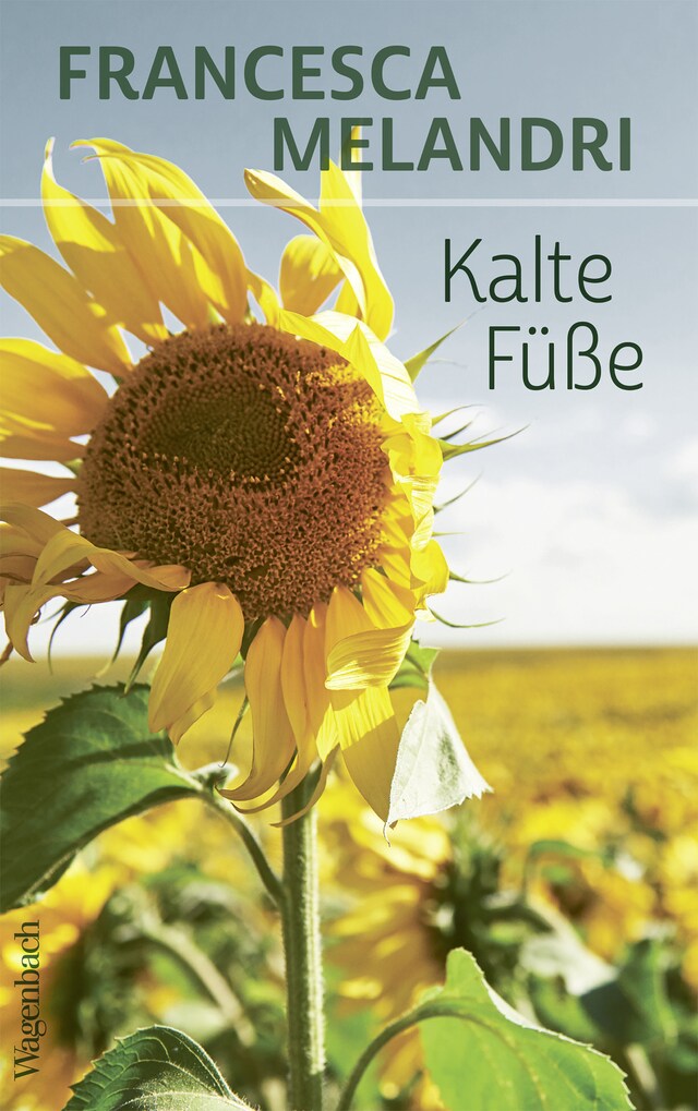 Kalte Füße Kirjankansi teokselle Kalte Füße
