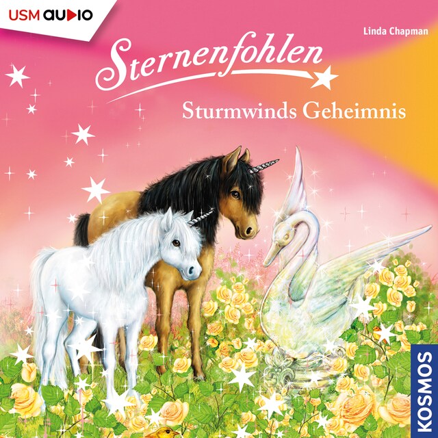 Book cover for Sternenfohlen - Sturmwinds Geheimnis