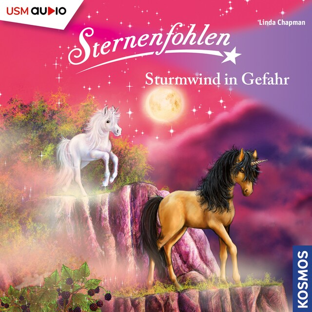 Book cover for Sternenfohlen - Sturmwind in Gefahr