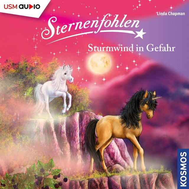 Couverture de livre pour Sternenfohlen - Sturmwind in Gefahr