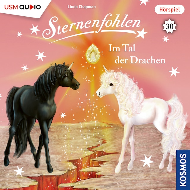 Book cover for Sternenfohlen - Im Tal der Drachen