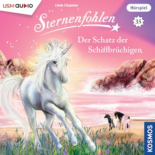 Der Schatz der Schiffbrüchigen als Hörbuch