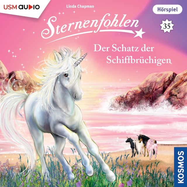 Book cover for Der Schatz der Schiffbrüchigen