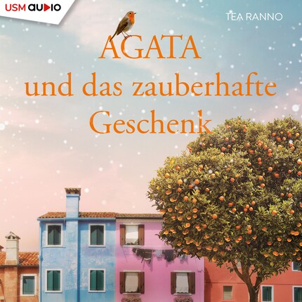 Agata und das zauberhafte Geschenk bookCoverFor