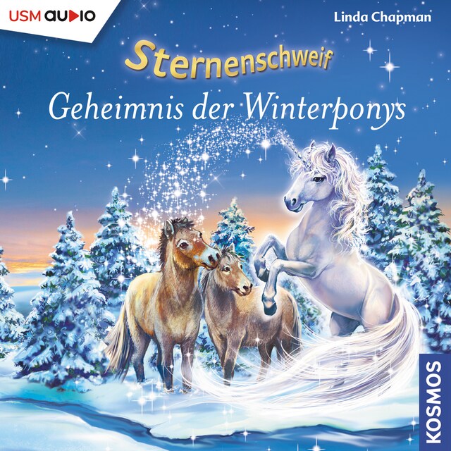 Book cover for Sternenschweif - Das Geheimnis der Winterponys