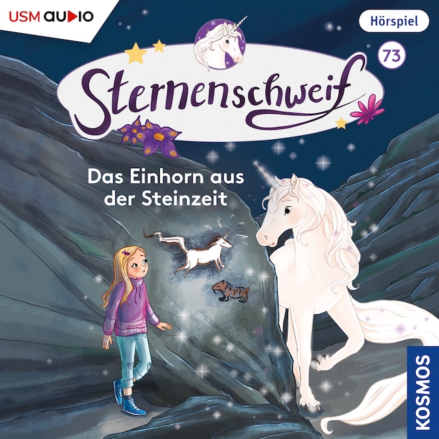 Book cover for Das Einhorn in der Steinzeit