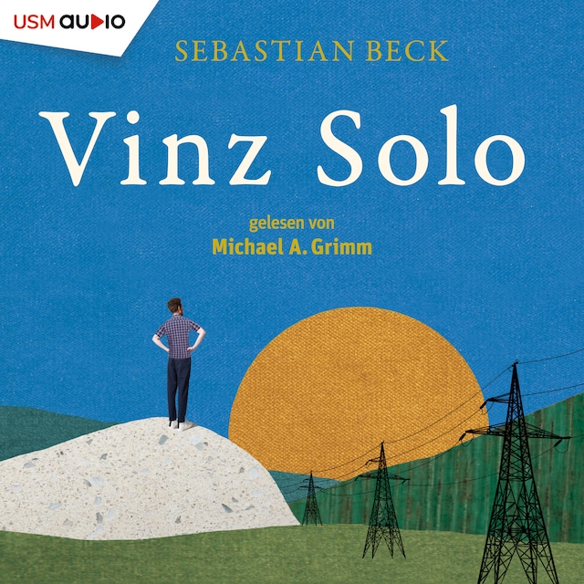 Book cover for Vinz Solo