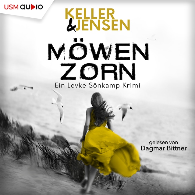 Book cover for Möwenzorn