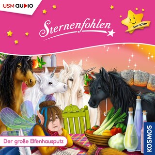 Der große Elfenhausputz als Hörbuch
