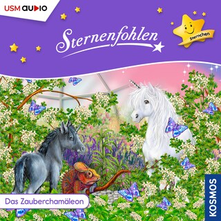 Das Zauberchamäleon als Hörbuch
