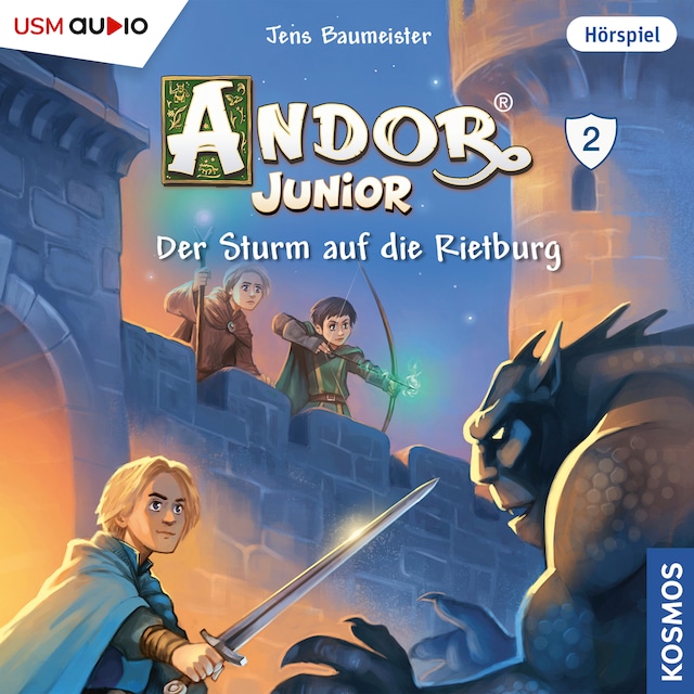 Book cover for Der Sturm auf der Rietburg