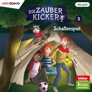Schattenspiel als Hörbuch