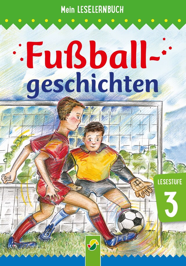 Copertina del libro per Fußballgeschichten