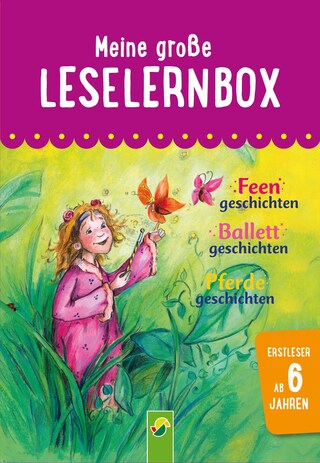 Meine große Leselernbox: Feengeschichten, Ballettgeschichten, Pferdegeschichten bookCoverFor