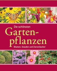 Die schönsten Gartenpflanzen