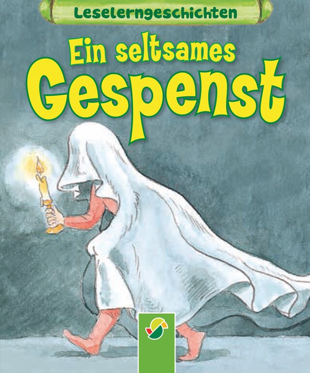 Portada de libro para Ein seltsames Gespenst