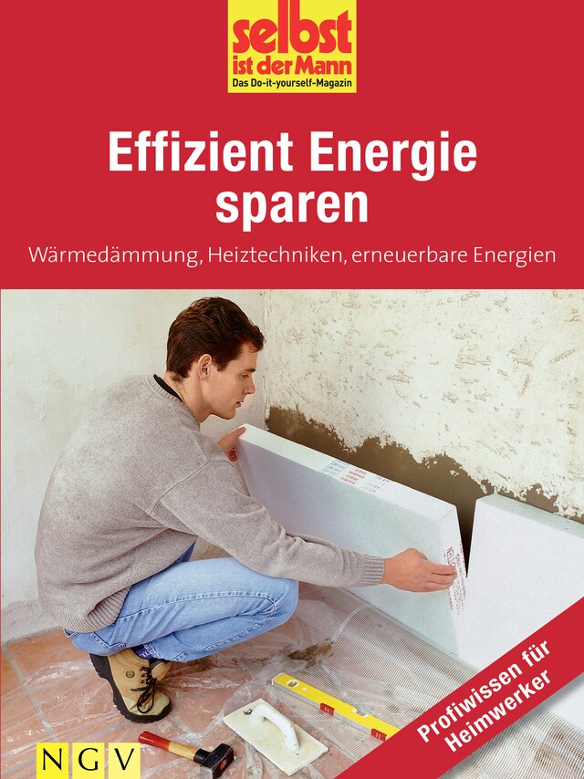 Copertina del libro per Effizient Energie sparen - Profiwissen für Heimwerker