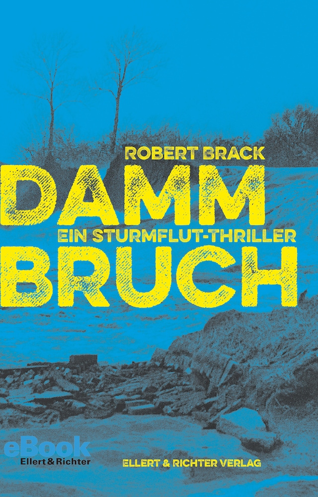Okładka książki dla Dammbruch