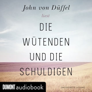 Die Wütenden und die Schuldigen als Hörbuch