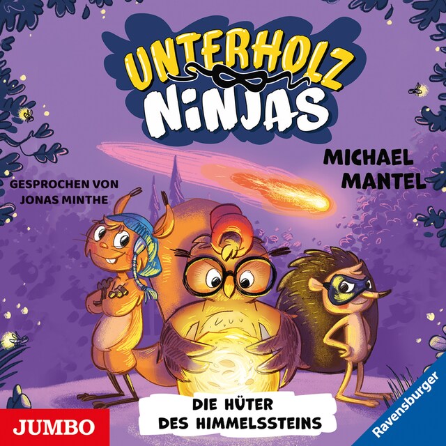 Boekomslag van Unterholz-Ninjas. Die Hüter des Himmelssteins [Band 2]